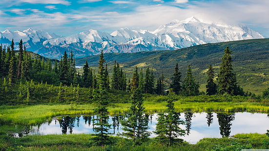 grüne Kiefern, Alaska, Natur, Landschaft, Berge, Wasser, Reflexion, Tageslicht, Bäume, HD-Hintergrundbild HD wallpaper