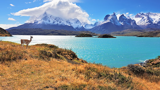 Torres del Paine, torres del paine national park, Chile, mountains, clouds, lake, snow, sky, HD wallpaper HD wallpaper