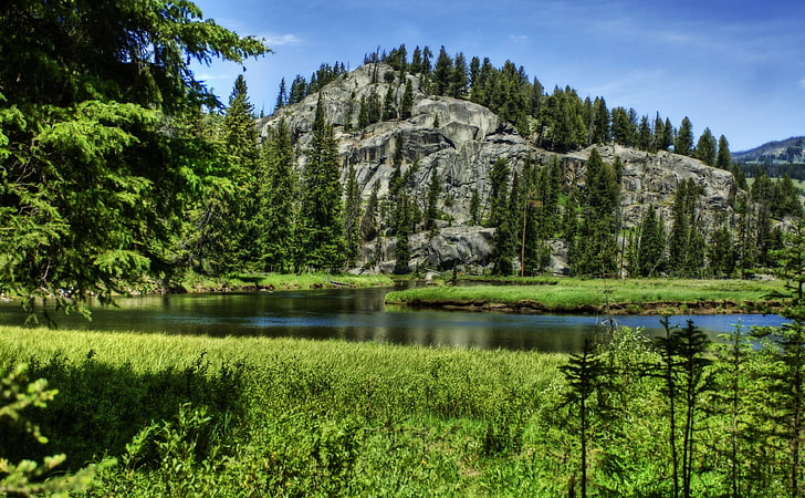 Big Rock HD Wallpaper, grüne Kiefern, Natur, Landschaft, Rock, Bäume, Berg, Fluss, Wald, HD-Hintergrundbild