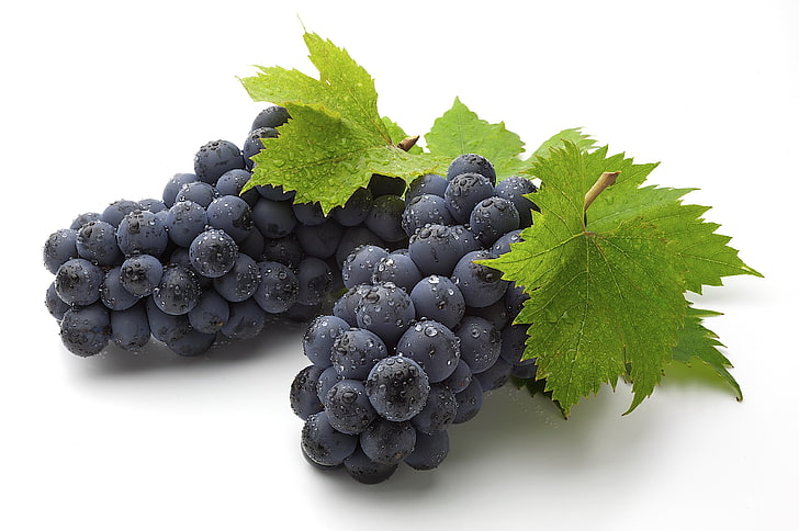owoce winogron, winogrona, gałąź, szczotka, liście, Tapety HD