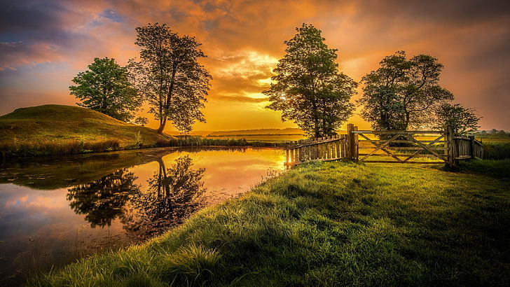 sunlight, fence, peterborough, oundle, northampton, europe, united kingdom, lyveden, grass, gateway, sunrise, reflection, tree, morning, evening, dawn, water, landscape, sky, nature, pond, HD wallpaper