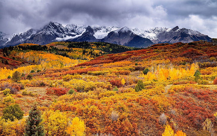 Autumn Nature Scenery, Herbst, Natur, Landschaft, HD-Hintergrundbild