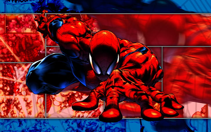 Spider-man HD, illustration de Spiderman, dessin animé / bande dessinée, homme, araignée, Fond d'écran HD