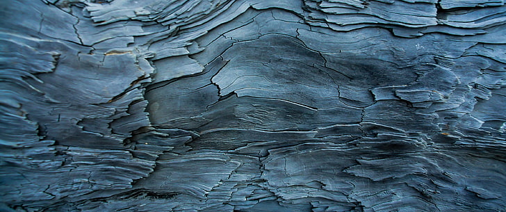 permukaan kayu abu-abu, ultrawide, alam, fotografi, makro, kayu, tekstur, log, Wallpaper HD