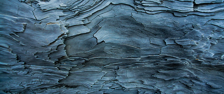superficie di legno grigia, ultrawide, natura, fotografia, macro, legno, tessitura, tronco, Sfondo HD HD wallpaper