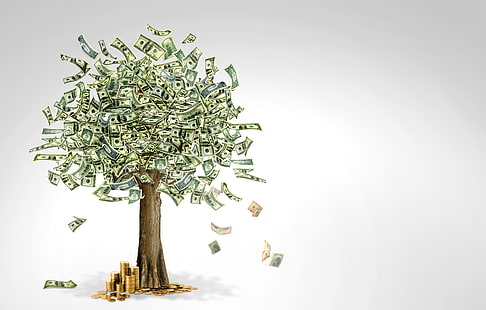 árbol, dinero, moneda, Fondo de pantalla HD HD wallpaper