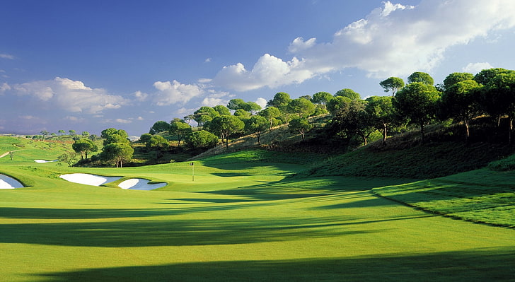 Campo de golfe, verde folheia árvores, esportes, golfe, curso, HD papel de parede
