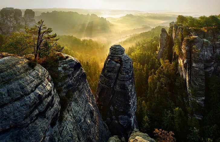 graue Berge, Wald, Klippe, Nebel, Tal, Bäume, Sonnenstrahlen, Sächsische Schweiz, Berge, Natur, Landschaft, HD-Hintergrundbild