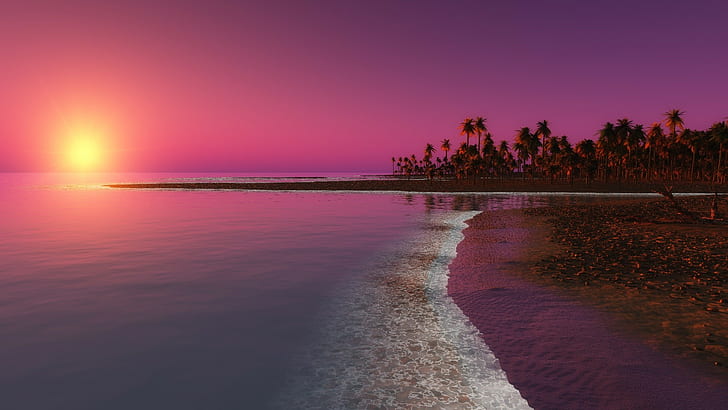 eau, plage, palmiers, soleil, soir, Fond d'écran HD