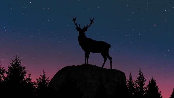 sky, nature, night, deer, darkness, stars, tree, starry sky, wildlife, silhouette, midnight, HD wallpaper