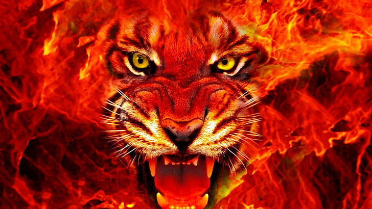 Король огня, иллюстрация огня красного тигра, тигр, большие кошки, природа, живая природа, лев, маленькие кошки, животные, фэнтези, огонь, HD обои