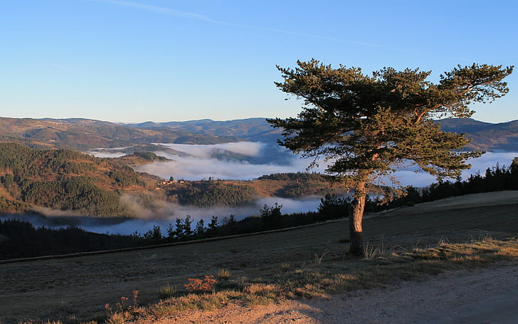 холмы, фоны гор, деревья, туман, скачать 3840x2400 холмов, HD обои