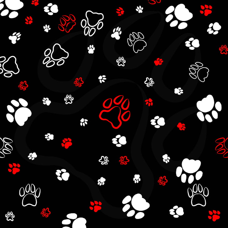 paws, patterns, traces, art, HD wallpaper