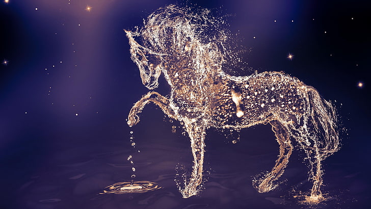 horse, droplet, drops, water drops, night, darkness, starry, digital art, special effects, star, HD wallpaper