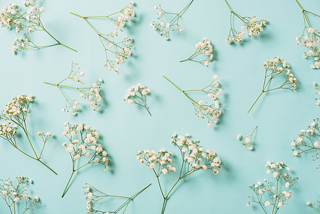 fleurs, fond, blanc, printemps, floral, Fond d'écran HD HD wallpaper