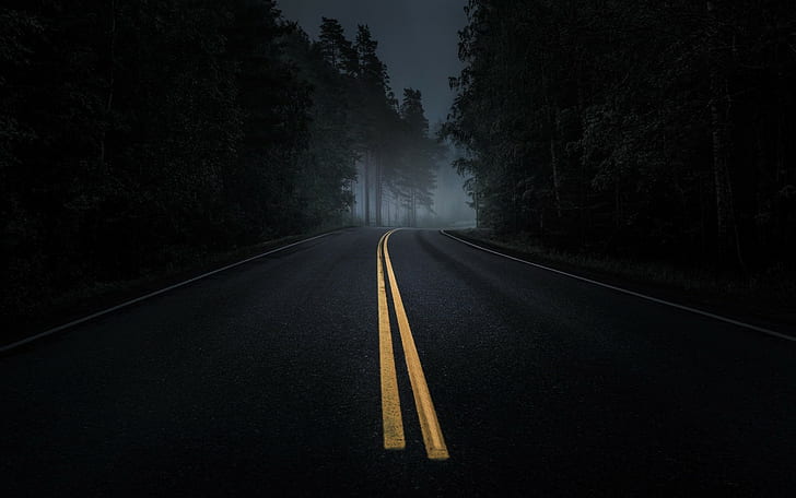 道路、霧、暗い、アスファルト、夜、松の木、森、道路、霧、暗い、アスファルト、夜、松の木、森、 HDデスクトップの壁紙