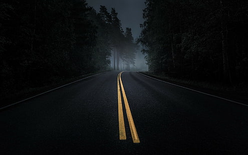 Road, Mist, Dark, Asphalt, Night, Pine Trees, Forest, road, mist, dark, asphalt, night, pine trees, forest, HD wallpaper HD wallpaper