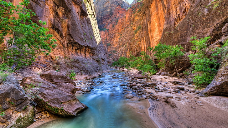zion national park, nature, narrows, stream, wilderness, vegetation, national park, rock, river bed, canyon, waterfall, cliff, ravine, utah, united states, HD wallpaper