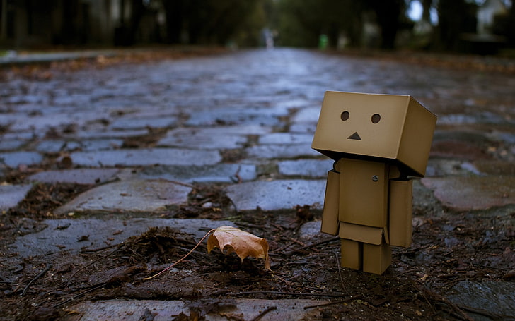 kotak robot kardus coklat, danboard, kotak, robot, trotoar, daun, musim gugur, maple, Wallpaper HD