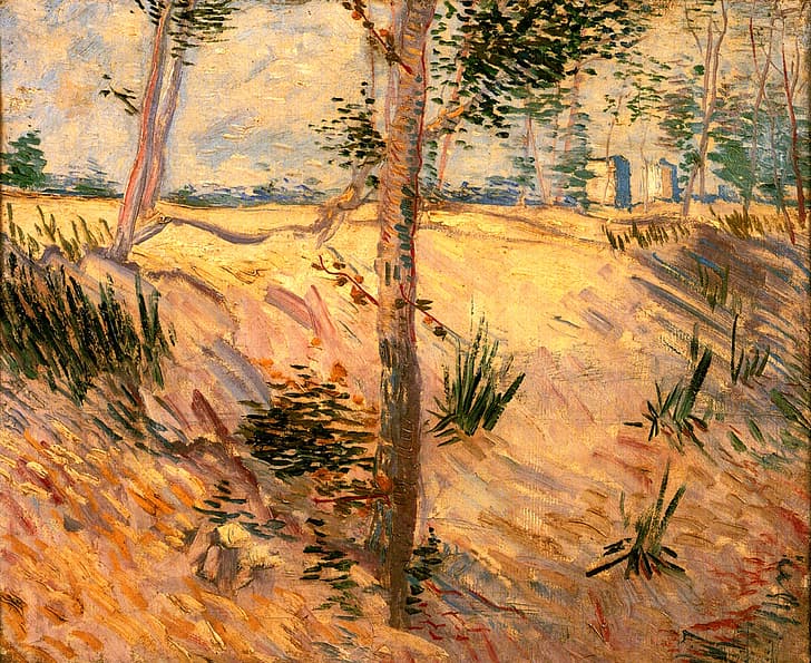 Vincent van Gogh, Trees in a Field, on a Sunny Day, HD wallpaper