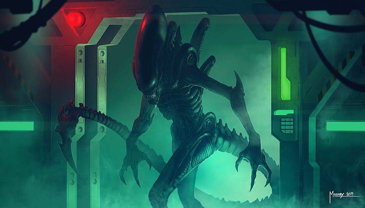 Alien, Xenomorph, HD wallpaper