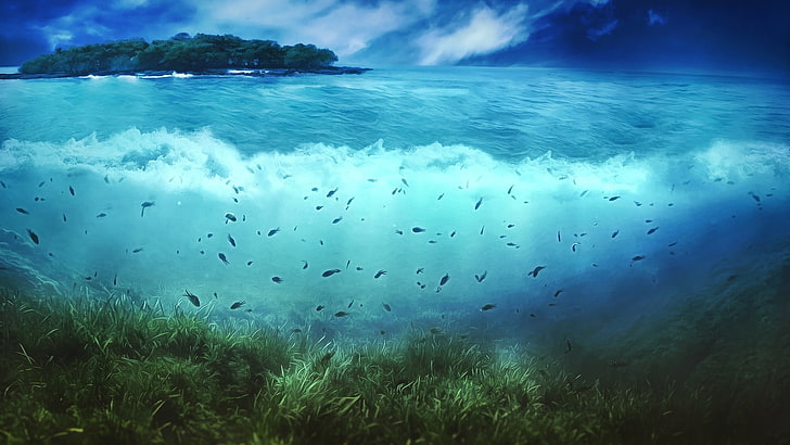 peces bajo el agua cerca del islote, mar, naturaleza, isla, peces, obras de arte, vista dividida, Fondo de pantalla HD