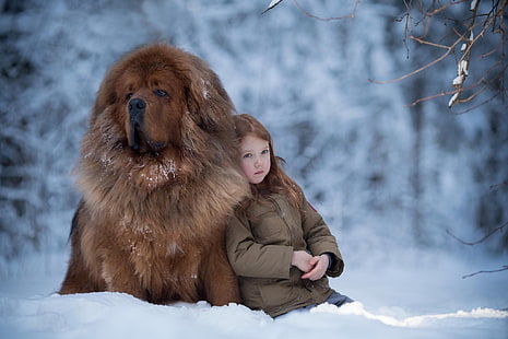 musim dingin, salju, suasana hati, anjing, gadis, teman, Tibetan Mastiff, Wallpaper HD HD wallpaper