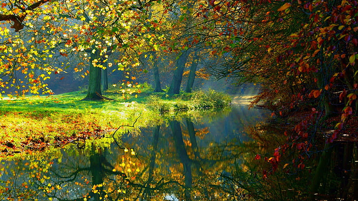 paisaje, naturaleza, otoño, flores, bosque, árboles, río, reflexión, agua, hoja, Fondo de pantalla HD
