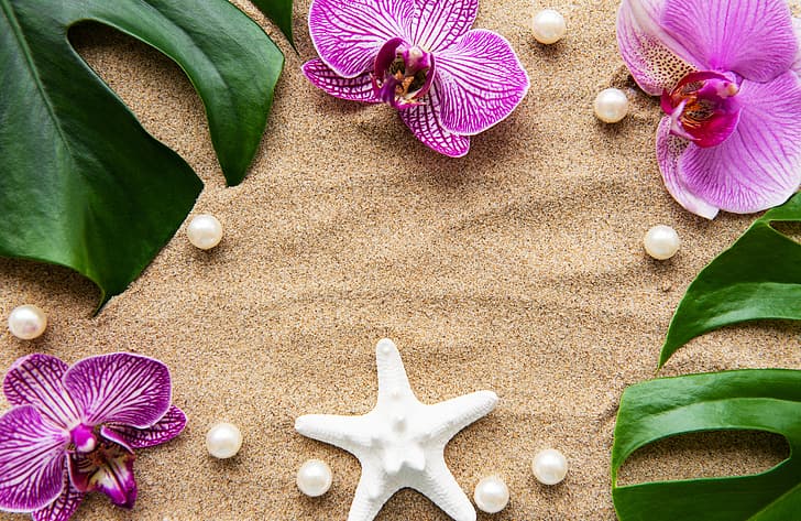 arena, hojas, flores, blanco, orquídea, rosa, perlas, spa, estrella de mar, zen, perls, Fondo de pantalla HD