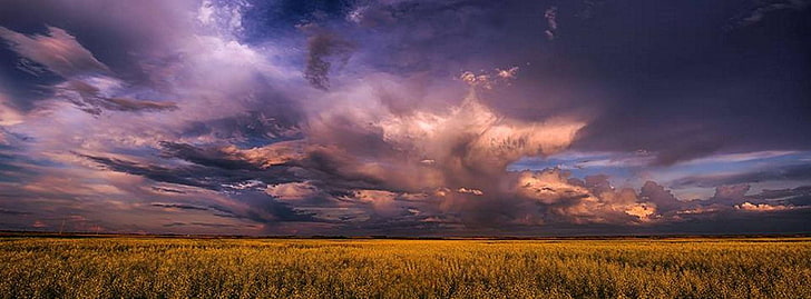 nuages, prairie, tempête de prairie, tempête, Fond d'écran HD