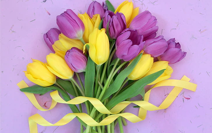 Fioletowe żółte kwiaty, bukiet tulipanów, wstążka, fioletowy, żółty, kwiaty, tulipany, bukiet, wstążka, Tapety HD
