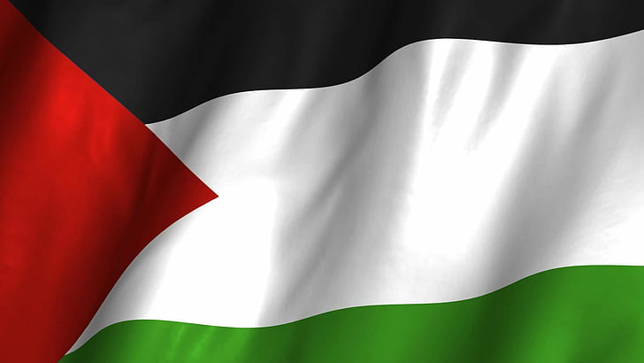flagga, palestine, HD tapet