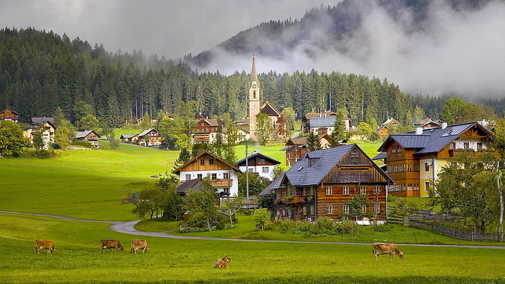 село, архитектура, град, сграда, Австрия, дърво, къща, църква, села, природа, дървета, гора, мъгла, път, животни, крава, трева, HD тапет