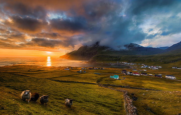 mar de nuvens, mar, nuvens, pôr do sol, montanhas, costa, campo, Dinamarca, horizonte, casas, Ilhas Faroé, Famjin, HD papel de parede