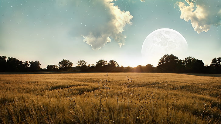 brown wheat field under white cloudy sky, field, landscape, Moon, sunlight, digital art, HD wallpaper
