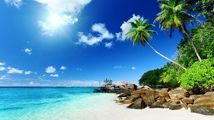pantai, alam, lanskap, laut, pohon-pohon palem, tropis, Wallpaper HD