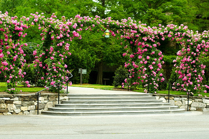 деревья, цветы, парк, газон, розы, лестница, дорожка, ступеньки, навес, США, кусты, Longwood Gardens, HD обои