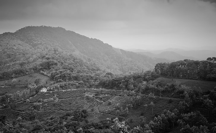 Montañas Munnar, fotografía en escala de grises de montaña, blanco y negro, montañas, paisaje, monocromo, munnar, Fondo de pantalla HD