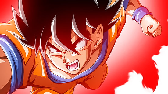 Son Goku, Super Saiyajin Gott, Dragon Ball Super, Dragon Ball, HD-Hintergrundbild HD wallpaper