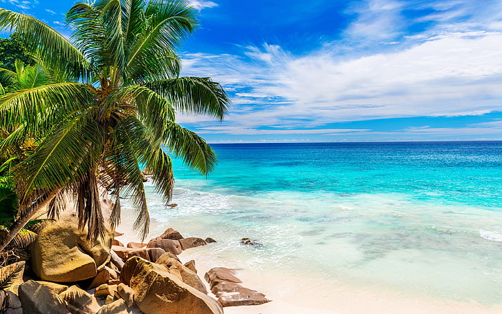 Bellissima spiaggia con sabbia verde palme mare limpido acqua rocce orizzonte nuvole tropicale Wallpaper HD 3840 × 2400, Sfondo HD