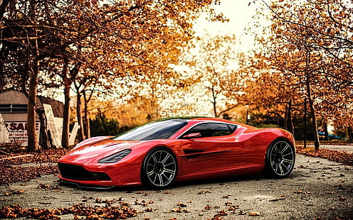 kırmızı Aston Martin DBC coupe, Aston Martin, araba, Aston Martin DBC, konsept otomobiller, kırmızı arabalar, araç, yapraklar, kentsel, ağaçlar, HD masaüstü duvar kağıdı HD wallpaper