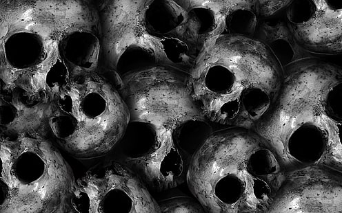 Scary, skulls, 4k, 8k, HD, HD wallpaper HD wallpaper