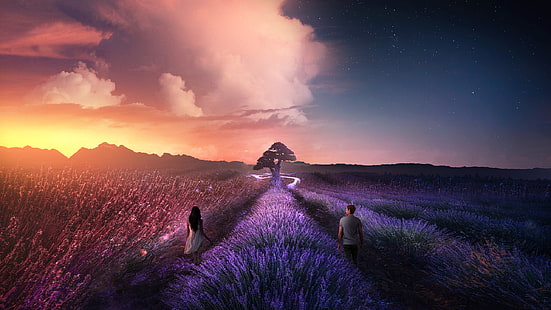 pria dan wanita berdiri di wallpaper bidang lavender, alam, pemandangan, matahari terbenam, malam, awan, seni digital, pohon, lapangan, pria, wanita, pasangan, bintang, Wallpaper HD HD wallpaper
