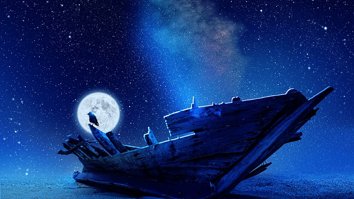 luna piena, stelle, notte, va nave, mare, volatile, Sfondo HD