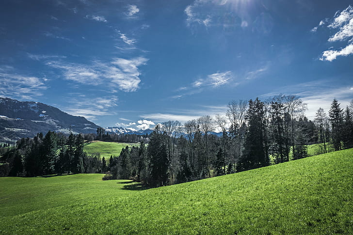 昼間の緑の芝生フィールド、早春、春の緑、緑の芝生、芝生フィールド、昼間、風景写真、ルツェルン州、スイス、森林、田舎、青い空、雲、木、自然、山、夏、木、草原、風景、屋外、草、緑の色、ヨーロッパアルプス、空、風景、青、 HDデスクトップの壁紙