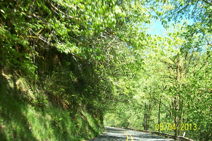Красивая зелень природы, голубое небо, проезжая часть, деревья, склон холма, HD обои