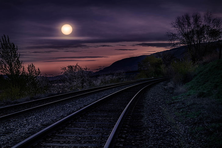 black train railway, landscape, photography, nature, Moon, railway, night, moonlight, trees, hills, shrubs, violet, HD wallpaper