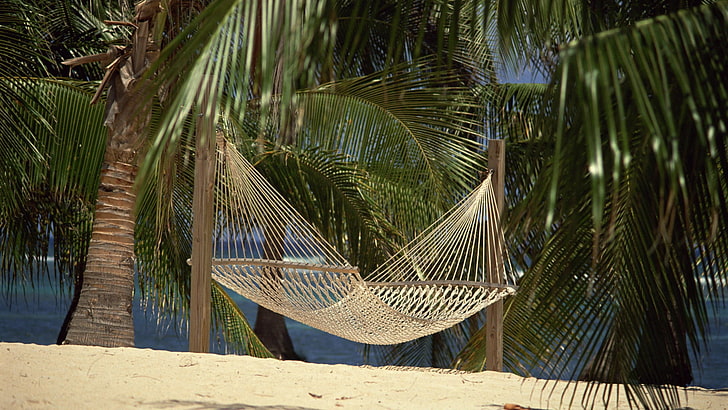 brown and beige hammock, hammock, palm trees, sand, grid, HD wallpaper
