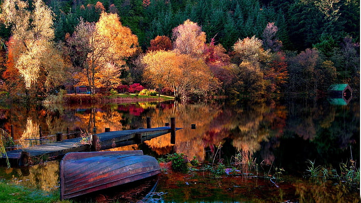 красное каноэ, лодка возле водоема, осень, природа, деревья, HD обои