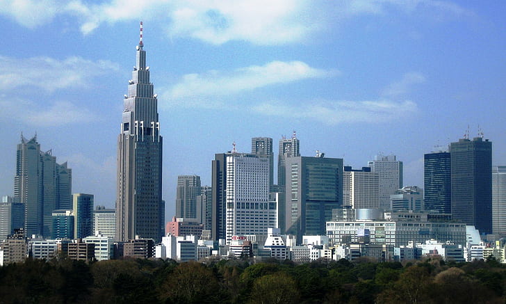 Shinjuku Skyline, Tokyo, skyline, Shinjuku, grattacieli, Giappone, animali, Sfondo HD